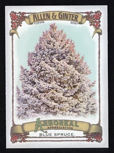 2021 topps Allen & Ginter arboreal appreciation blue spruce card#AA-1 - Picture 1 of 2