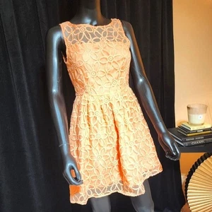 BB DAKOTA Fit and Flare Kleid Pfirsich Spitze Größe 2 - Bild 1 von 11