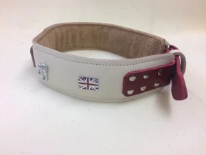 PADDED LEATHER DOG COLLAR FOR BULL BRITISH BULLDOG - Picture 1 of 3