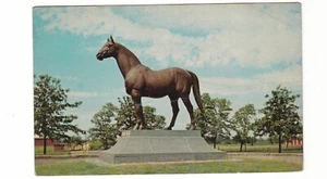 race horse statue Man of War / Lexington, Kentucky / vintage postcard - Bild 1 von 2