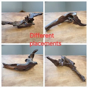 Vintage Driftwood Natural Sculpture Flowing Shaped Tabletop Shelf Man CaveDecor - Picture 1 of 15