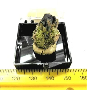 Cobre XL Cristal Ontonagon Co Michigan ID c6 Plano 2 - Imagen 1 de 4