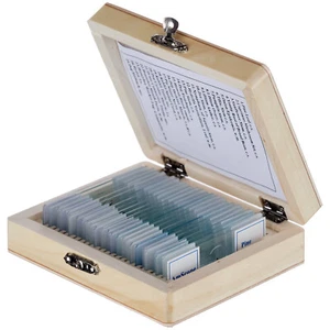 AmScope 25 microscopio preparado desliza vidrio con caja de madera - Imagen 1 de 8