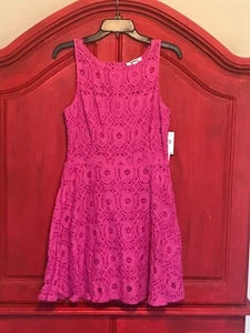 NWT BB DAKOTA pink lace lined dress size 10 sleeveless - Picture 1 of 12