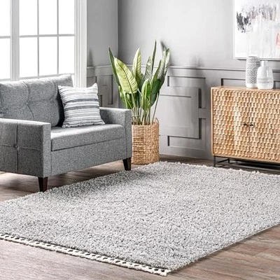 3x5 Neva Grey Plush Shag Area Rug Soft Durable Pet Friendly for Living Room - Image 1 of 4