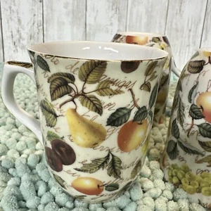 5 FORMALITIES BY BRAUM BROS. EDEN FRUIT CHINTZ COLLECTION MUG - Picture 1 of 15