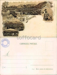 BELLUNO CITTA'-SALUTI-D12-90 - Picture 1 of 1