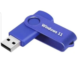 Recovery USB for Windows 11 Pro Reinstall Fix Repair ITA - Photo 1/1