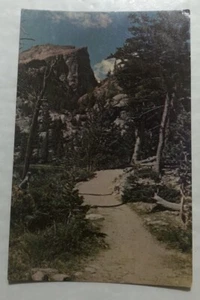 A Hiking Trail In Rocky Mountain National Park, Colorado. Postcard (W1) - Picture 1 of 2