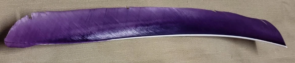 Plumas Trueflight - Longitud completa Sólidas - Docena Foto 1 de 1