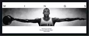 MICHAEL JORDAN MINI WINGS 105CM X 37.5CM FRAMED MEMORABILIA - Picture 1 of 1