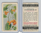 FC34-4 Brook Bond, Wild Flowers of NA, 1961, #31 Spotted Touch-Me-Not