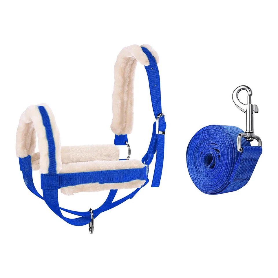 Halter de Vaca con Cuerda Líder Granero Suministro Esencial Entrenamiento Exterior Granja Foto 1 de 1