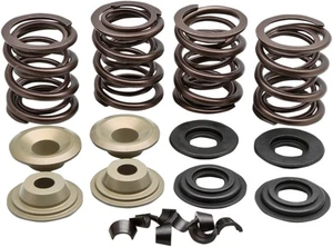 Kit de resorte de válvula Kibblewhite Racing (20-21150) - Imagen 1 de 1