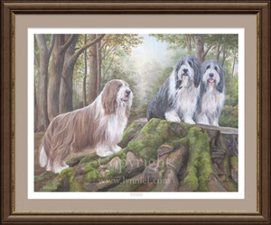 BEARDED COLLIE 'Beardie' Limited Edition Hundedruck 'Woodland Watch' - Bild 1 von 3