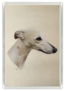 WHIPPET BEAUTIFUL DOG ART PRINT NOVELTY FRIDGE MAGNET GREAT GIFT - Picture 1 of 1