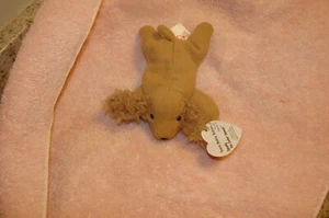 Ty Beanie Baby Spunky The Cocker Spaniel From 1997 Retired With Tags - Picture 1 of 5