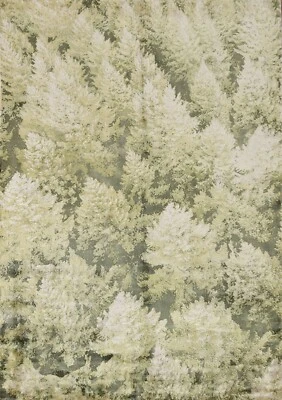 Modern Nature Print Abstract Indian Area Rug 5'x7' Handmade Contemporary Carpet - Image 1 of 4