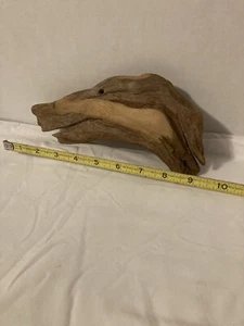 Driftwood That Looks Like A Goose Head  - Picture 1 of 2