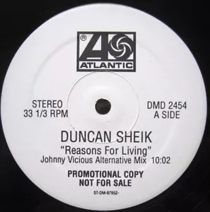 Duncan Sheik-Reasons For Living / Something To  1997 DMD-2454 Vinyl 12'' Vintage - Picture 1 of 1