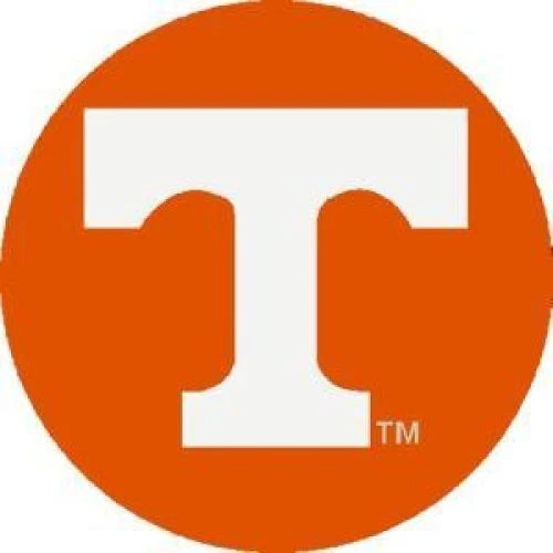 Tapas de vástago de válvula Tennessee Volunteers Foto 1 de 1