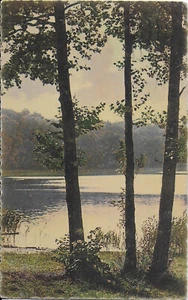 Postcard Trees & Lake View Nottingham 1928 Grey Friar Gate Ordish - Picture 1 of 2