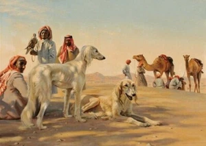 SALUKI CHARMING DOG GREETINGS NOTE CARD, DOGS IN DESERT SCENE - Picture 1 of 1