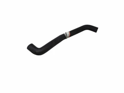 Manguera de radiador superior para Ford Expedition 1997-2002 Motorcraft 58833ZF 1998 1999 Foto 1 de 2