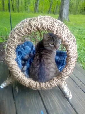 Cama casera FiberRush para gato/perro S/M Foto 1 de 4