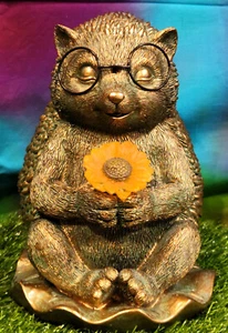 Solar Scholar Hedgehog, Solar Hedgehog with Lite up Flower, Evergreen #2SP7636 - Picture 1 of 7