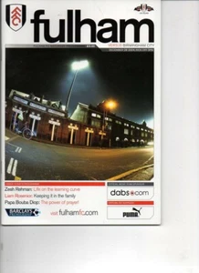 Fulham v Birmingham City 2004/05 Premiership - Picture 1 of 2