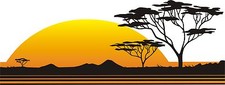 MOTORHOME VINYL GRAPHICS STICKERS DECAL CAMPER VAN RV CARAVAN HORSEBOX 38" x 14"