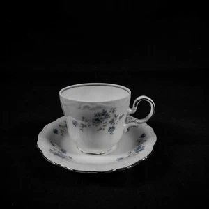 Johann Haviland Baviera Germania Ghirlanda Blu - Tazza e piattino da caffè - Foto 1 di 4