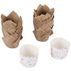 2X(150 Pcs  Cupcake Liners Baking Cups Muffin Liner Grease-Proof  Cupcake Wrappe