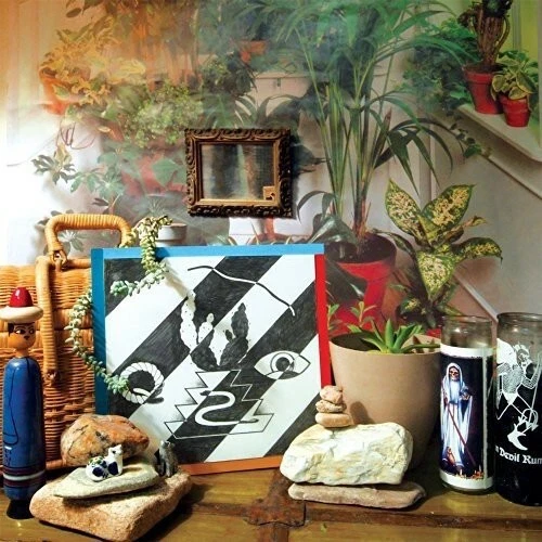 The Young: Chrome Cactus [NEW & SEALED] 12" Vinyl - Image 1 of 1