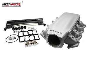 Colector de admisión atornillado de fundición Deepmotor LS3 L92 102 mm con rieles de combustible plateado - Imagen 1 de 9