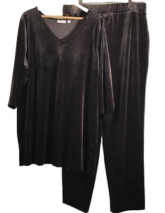 Pantaloni Susan Graver taglie forti velluto marrone gamba larga 1x top 2x set abbinato - Foto 1 di 18
