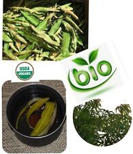 Feuilles de manguier séchées organic 100% bio 200 G pour tisane thé livraison 