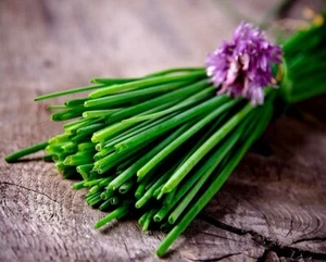 Common CHIVES Onion 200+ Seed Organic Perennial Herb Vegetable Homegrown USA🇺🇸 - Picture 1 of 7