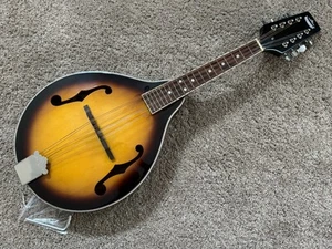 Morgan Monroe MM-100AM A-Style Mandolin - Picture 1 of 5