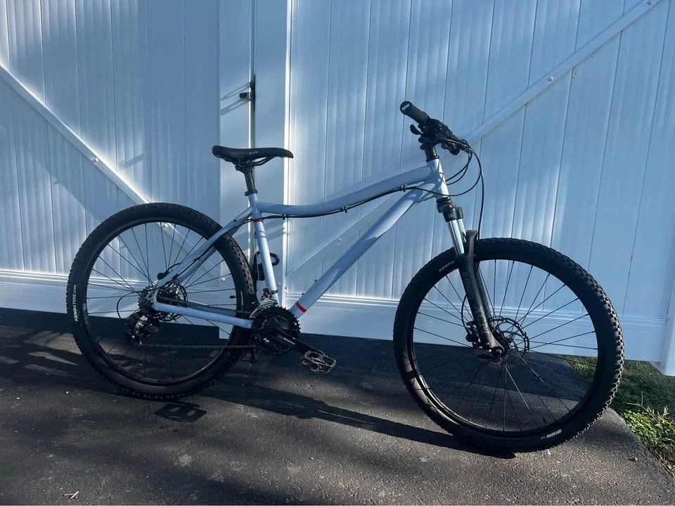 Co-Op Dirt 1.1 山地自行车 29 英寸车轮 Shimano 齿轮 灰色/蓝色 — 第 1/1 张图片