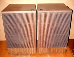 PAR DE ALTAVOCES REFLECTANTES DIRECTOS BOSE 501 SERIE III 1977 VINTAGE PROBADOS - Imagen 1 de 18