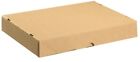 Carton with Lid 305x215x50mm Brown Pk 10