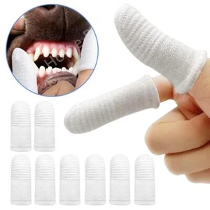 Interactive Chew & Sound Ball for Dogs – Food‑dispensing, Anti‑bite, Teeth‑clean - Picture 1 of 24