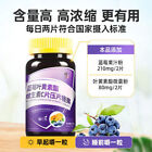 ???????????c?  ???? ?????? Blueberry Lutein Ester Tablets New