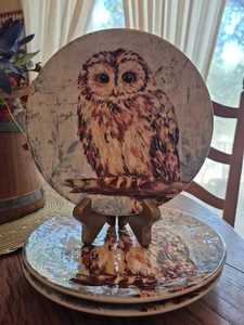 Pier 1 Imports Owl Ironstone Salad/Dessert Plates Dimpled Glossy Set of 3 NWT - Picture 1 of 24