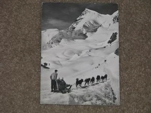 RPPC, Jungfraujoch Suiza, trineo tirado por perros - Imagen 1 de 1