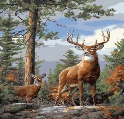 NORIMPEX 50x40 cm Malen nach zahlen Set mit Holzrahmen Hirsche auf einem Hügel