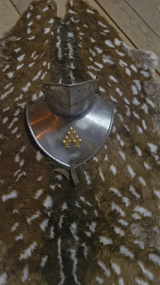 Helmbart Kragen Rüstung Platte Ritter Mittelalter Reenactment Larp - Bild 1 von 1