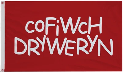 Free Wales Cofiwch Dryweryn Polyester 5'x3' Flag - EXCLUSIVE - Image 1 of 4